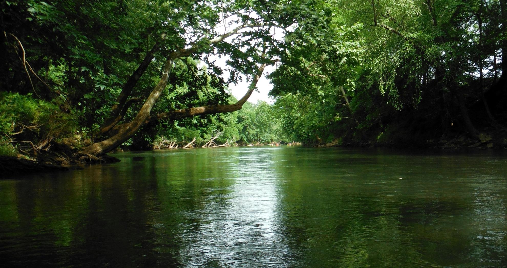 The beauty of nature is abundant in Peach County